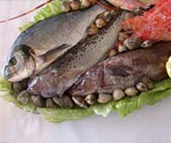 Photograph of an assortment of fresh fish