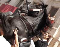 A photo of a rider in the patron festival of Fornells